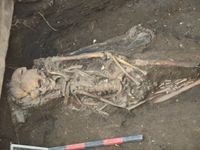 Ein Skelett in situ. Teilweise war noch das Holz vom Sarg erhalten